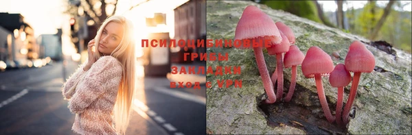 прущая мука Абаза