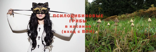 PSILOCYBIN Алексин