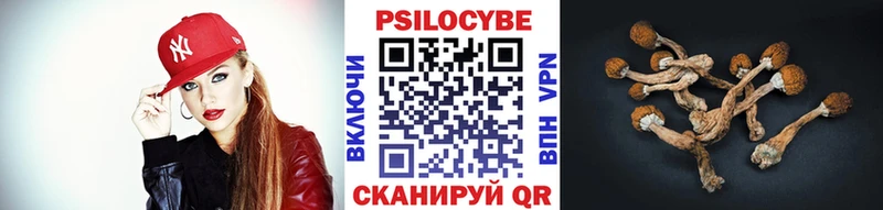Псилоцибиновые грибы MAGIC MUSHROOMS Ржев